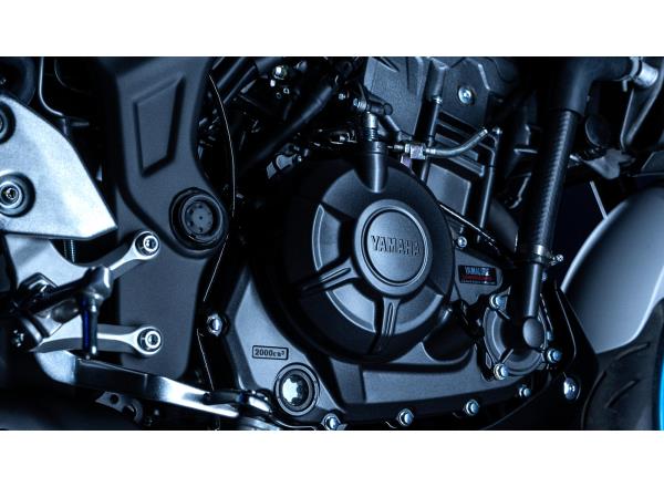 Torque-rich EU5+ 320cc 2-cylinder engine