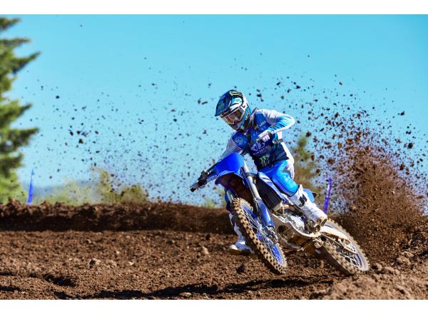 Adjustable traction control system