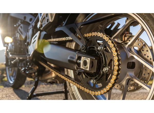 Low maintenance endurance chain