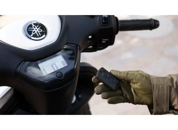 Smart Key keyless system