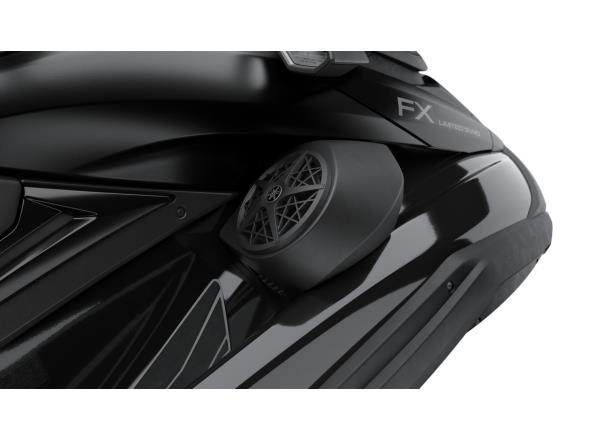 Factory-installed audio system