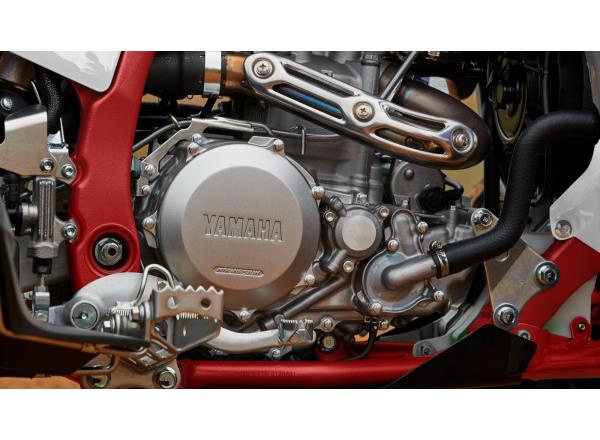 Assist and slipper clutch