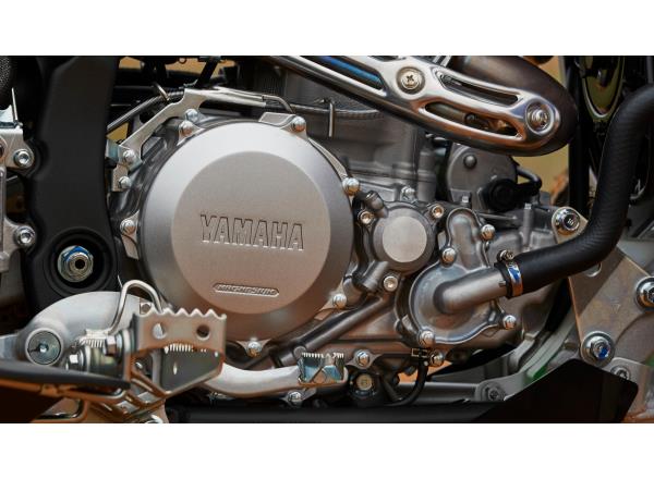 Assist and slipper clutch