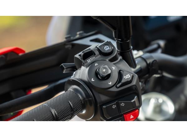 Cruise Control and Speed Limiter