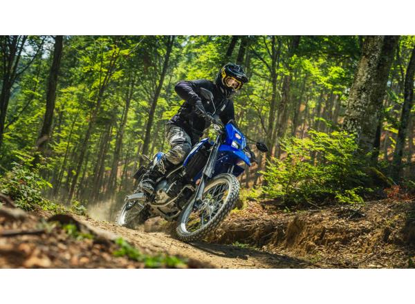 Low maintenance even off-road