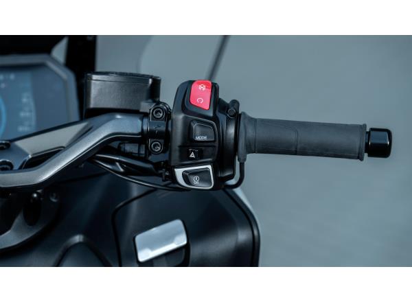 Heated grips and heated seat