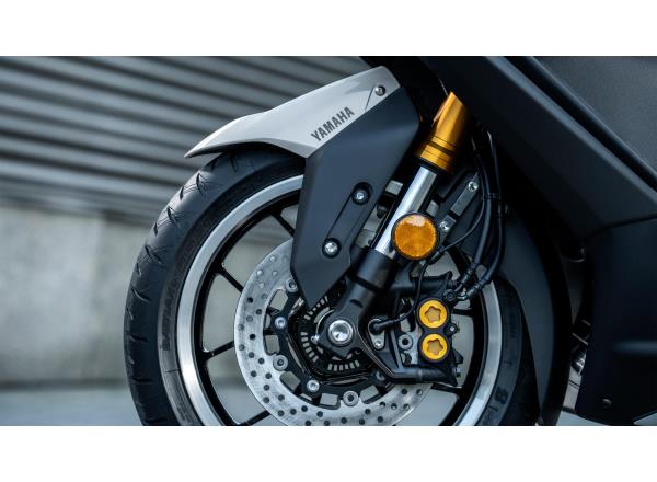 Rider's aids