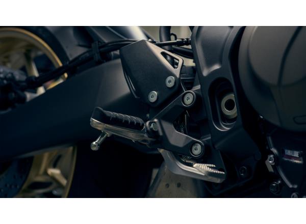 Adjustable die-cast footpegs 