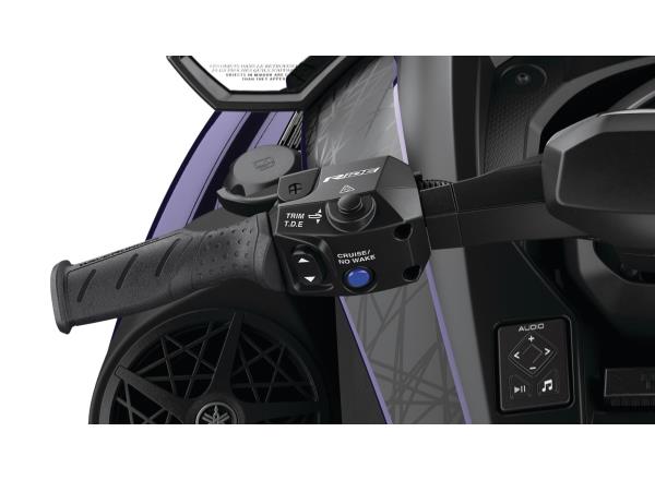 Auto-Trim function with cornering and launch contr