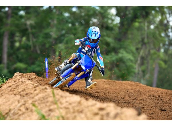 Pure YZ race-bred DNA
