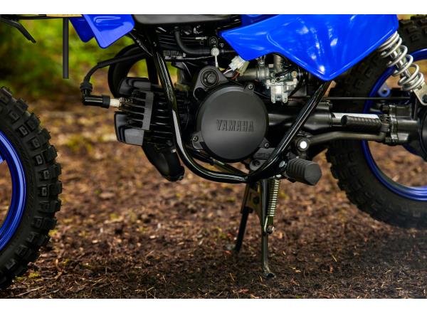 Fully-automatic 50cc 2-stroke engine