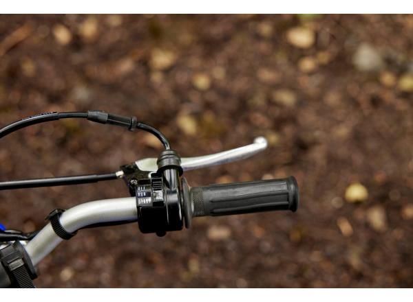 Easy-to-adjust throttle limiter
