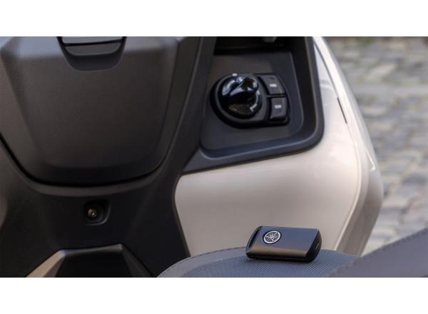 Smart Key keyless operation