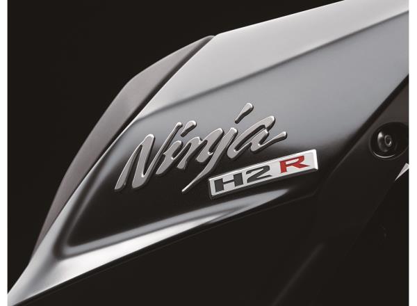 Kawasaki Original Silver-mirror Paint