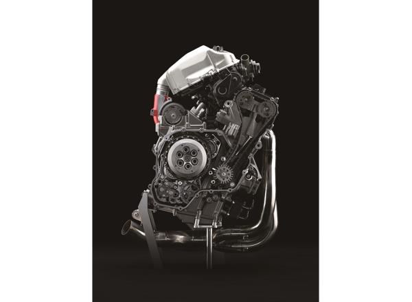 Hydraulic Clutch & Back-torque Limiter