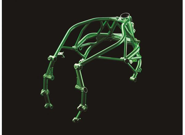 Trellis Frame