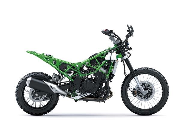 Multi-Purpose Trellis Frame