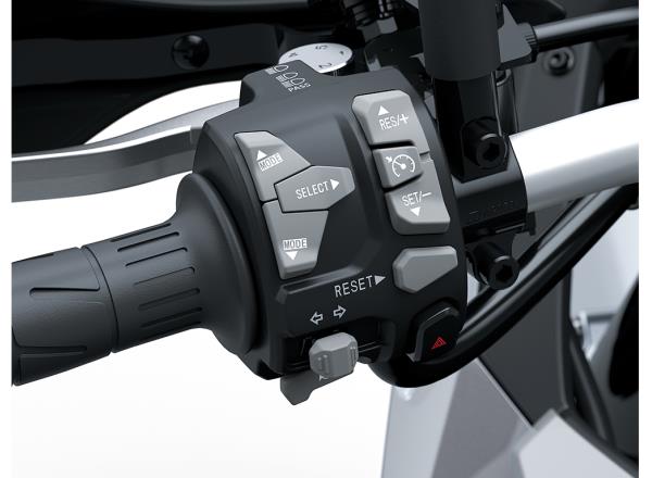 Rider Support for Enhanced Long-Distance Comfort
